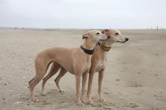 20 oktober 2013 (23)