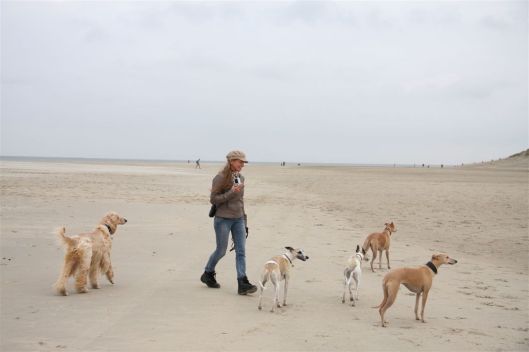 20 oktober 2013 (24)