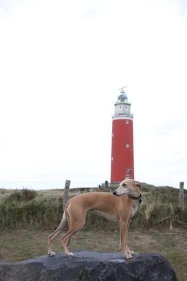 20 oktober 2013 (27)