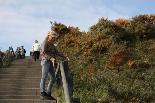 20 oktober 2013 (34)