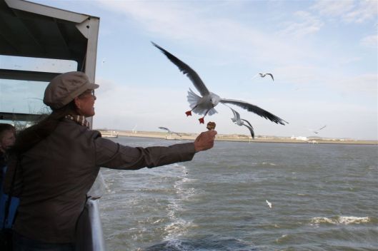 20 oktober 2013 (38)