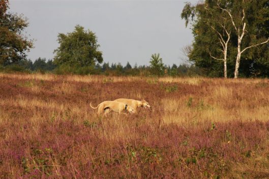 24 september 2013 002