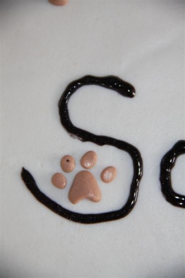 27 oktober 2013 (10)