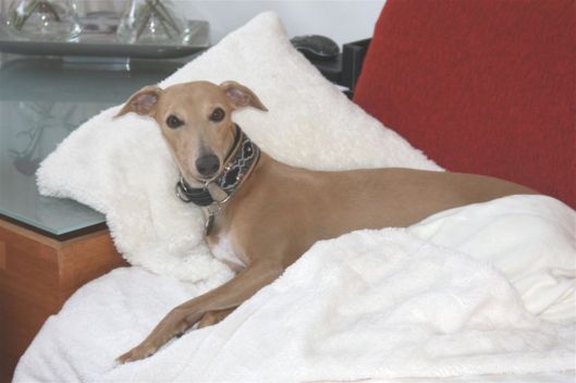 27 oktober 2013 (14)