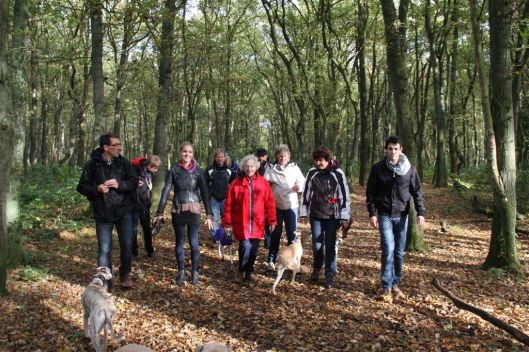 27 oktober 2013 (40)