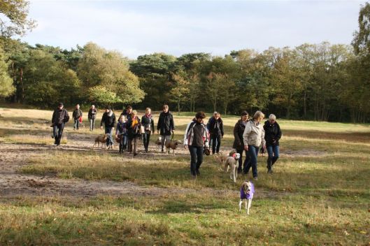 27 oktober 2013 (51)