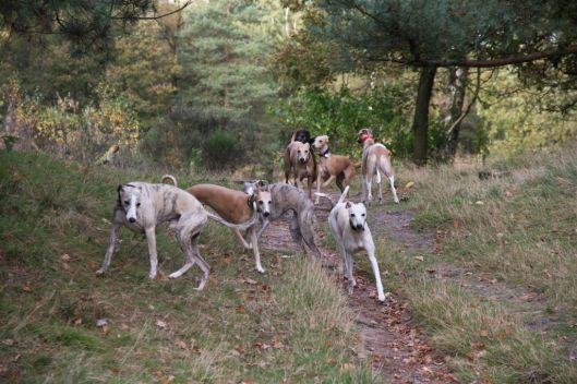 27 oktober 2013 (65)