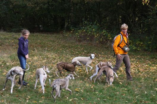 27 oktober 2013 (68)