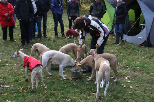 27 oktober 2013 (70)