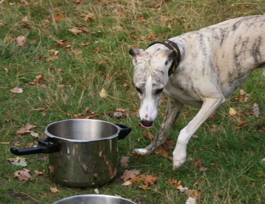 27 oktober 2013 (73)