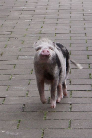 12 november 2013 001