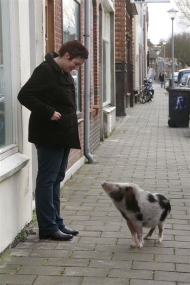 12 november 2013 010