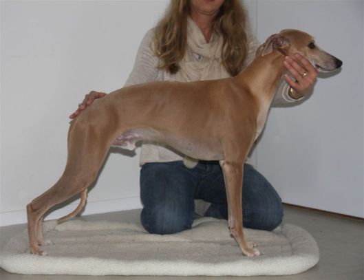 12 november 2013 023a