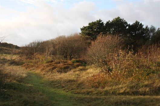 12 november 2013 073