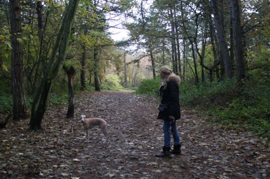 12 november 2013 090