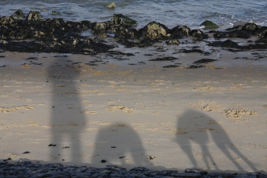 16 november 2013 060