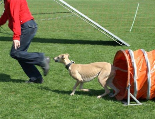 994967_10200194277059045_1194276511_n