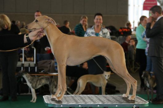 15 december 2013 032a