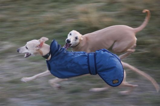 15 december 2013 080