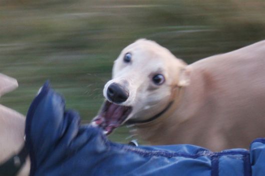 15 december 2013 080a