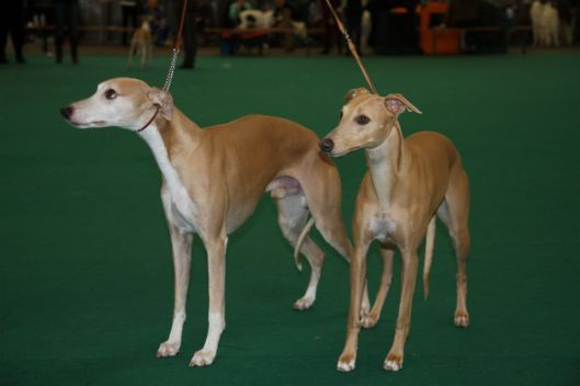 15 december 2013 112b