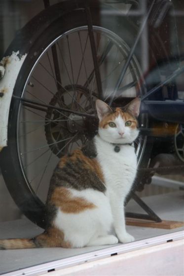 27 december 2013 003