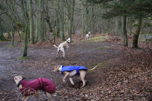 27 december 2013 014