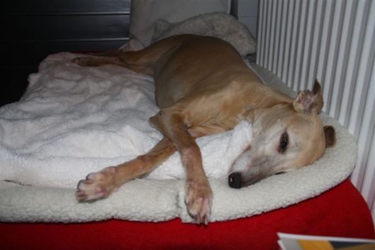 27 december 2013 019