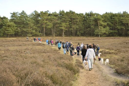 1477341_642442949146059_1272235856_n