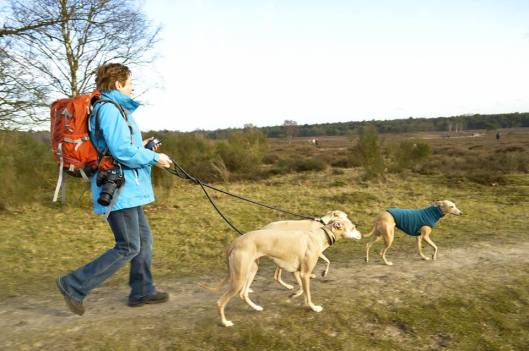 1526658_642442945812726_1226293188_n