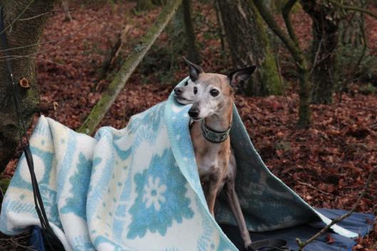 1526752_10202887251322568_2081551426_n