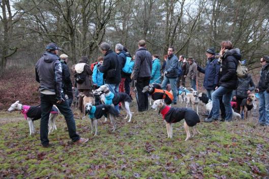 1560549_10202887200601300_100822599_n (1)