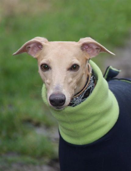 16 januari 2014 020c