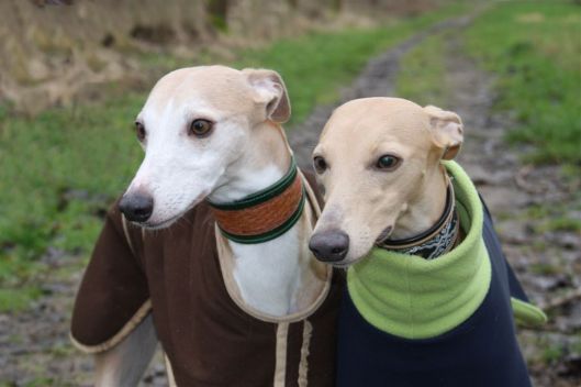 16 januari 2014 036a