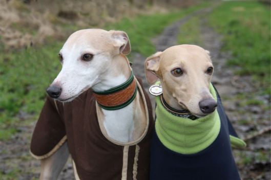 16 januari 2014 037a