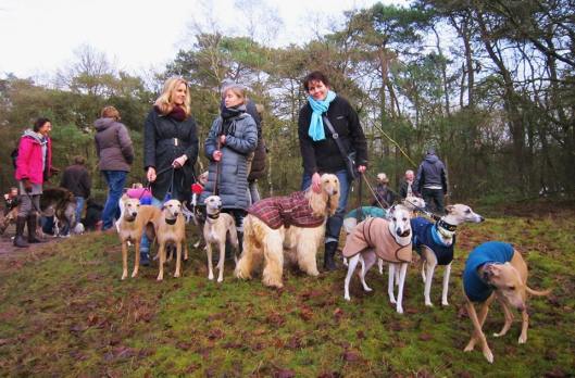 379771_10152119942522370_671806238_n (1)