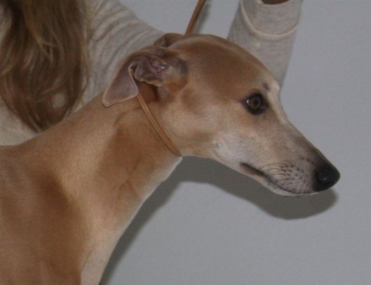 12 november 2013 026a