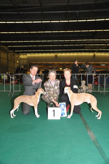 1743308_708199119210387_839492641_n