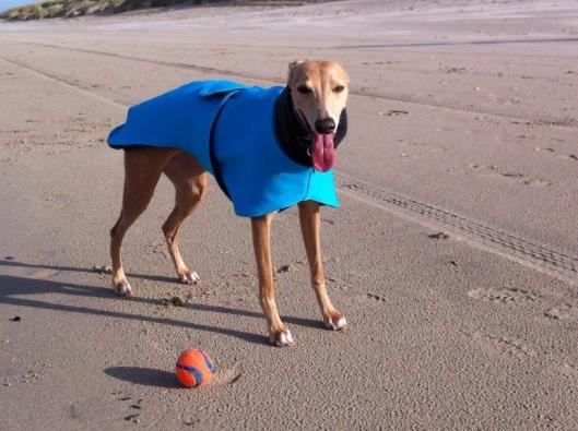 1743736_10203145479618114_1912391127_n