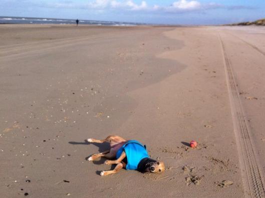 1920350_10203145479938122_659363746_n