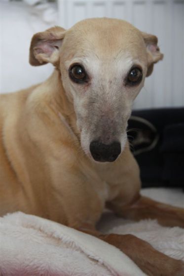 20 februari 2014 009 (2)