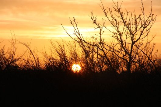 26 februari 2014 016