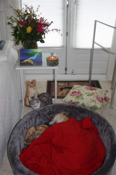 26 februari 2014 028