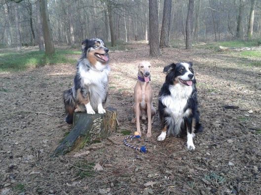 264571_621139917934034_715745247_n