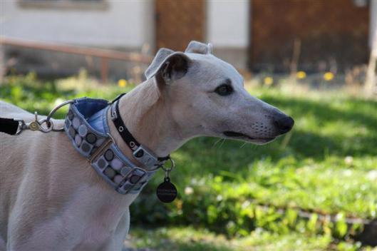 311467_1767585208838_7500980_n