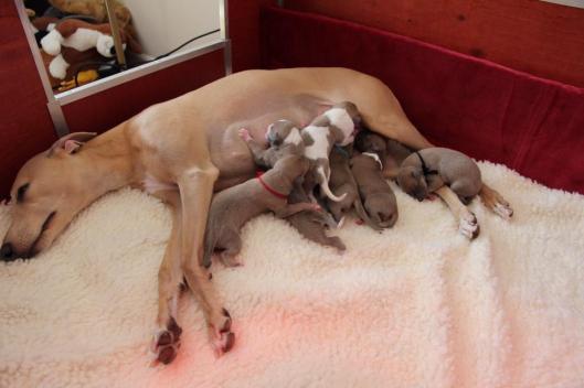 10003206_10203540664777496_4859107591012486730_n