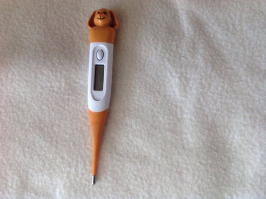 10003293_10203485278552875_548794596_n (1)