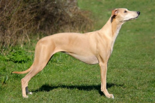 1002673_10200953375236025_1512667085_n