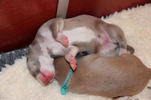 10150674_10203546425761517_319693255898835147_n