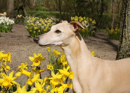 10150693_10201004751840408_2284673796894521400_n